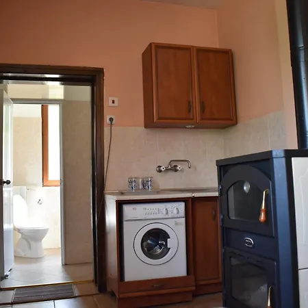 диковата къща *