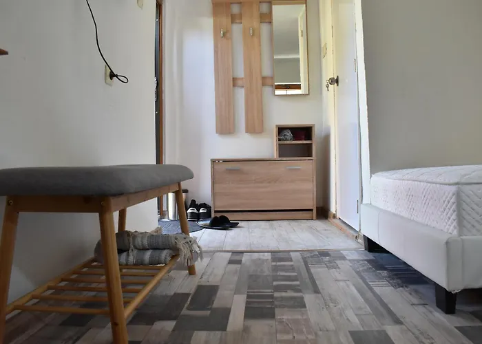 диковата къща