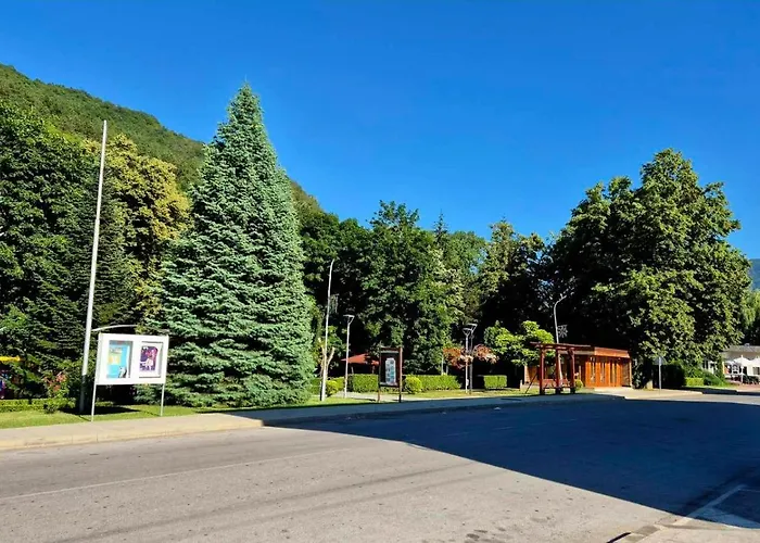 диковата къща 度假居